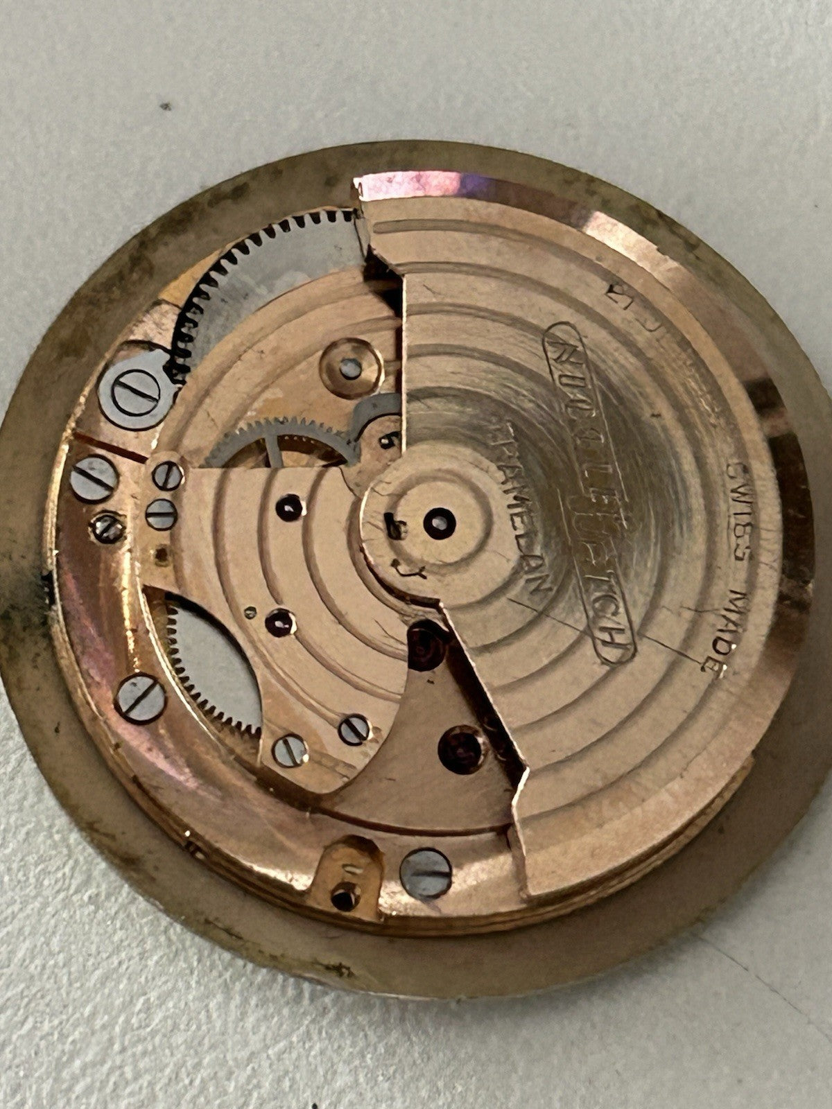 406022