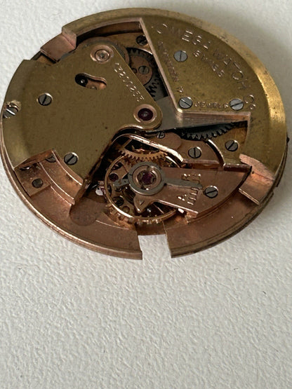 406027